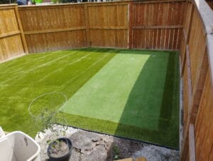 Putting Greens in backyard